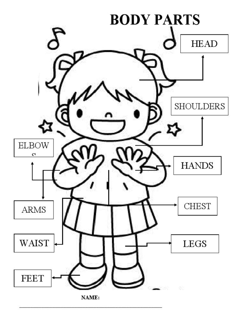 PARTES DEL CUERPO.docx | PDF