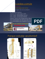 Anatomia radiológica da coluna vertebral