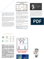 Qué Es La Teoría Cromosómica de La Herencia