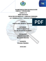 Ensayo PDF