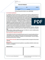 Trabajo 1 - Empat - 5B - GP5 PDF