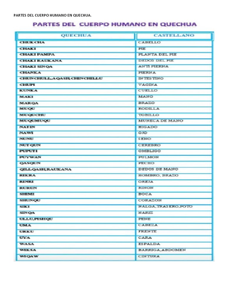 Partes Del Cuerpo Humano en Quechua PDF