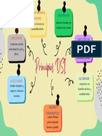 Principios DSI PDF
