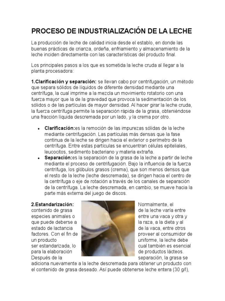 Proceso Industrial de La Leche PDF