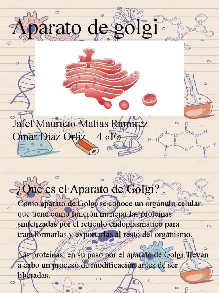 Aparato de Golgi | PDF
