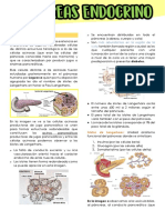 8.1 Páncreas Endocrino PDF