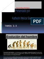 Evolucion Del Hombre Katherin Santos 31521418