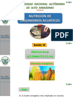 10 Sesión Nutrición PDF