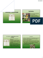 Individuos PDF