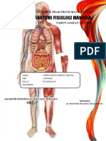 Anatomi Fisiologi Manusia