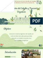 Alimentación Del Caballo y Procesos Digestivos PDF