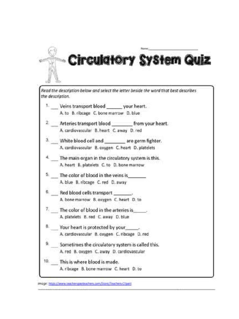 Quiz On The Circulatory System | PDF