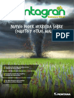 Volante Bentagram Arroz PDF