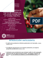 4 - Rentabilidad Econ SAF-Costa Rica-Virginio Filho Et Al CATIE PDF