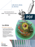 Clase Teórica - Métodos de Estudio de La Célula (C. Saavedra) PDF