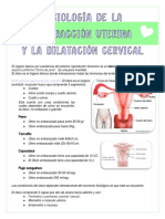Fisiologia de Las Contracciones Final PDF
