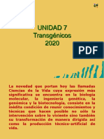 Transgénicos y su impacto en la salud