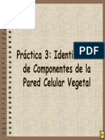 Práctica 3 PDF