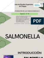 Salmonelosis: Etiología, Patogenia y Tratamiento