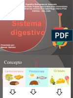 Sistema Digestivo. 