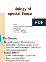 Physiology of Special Sense