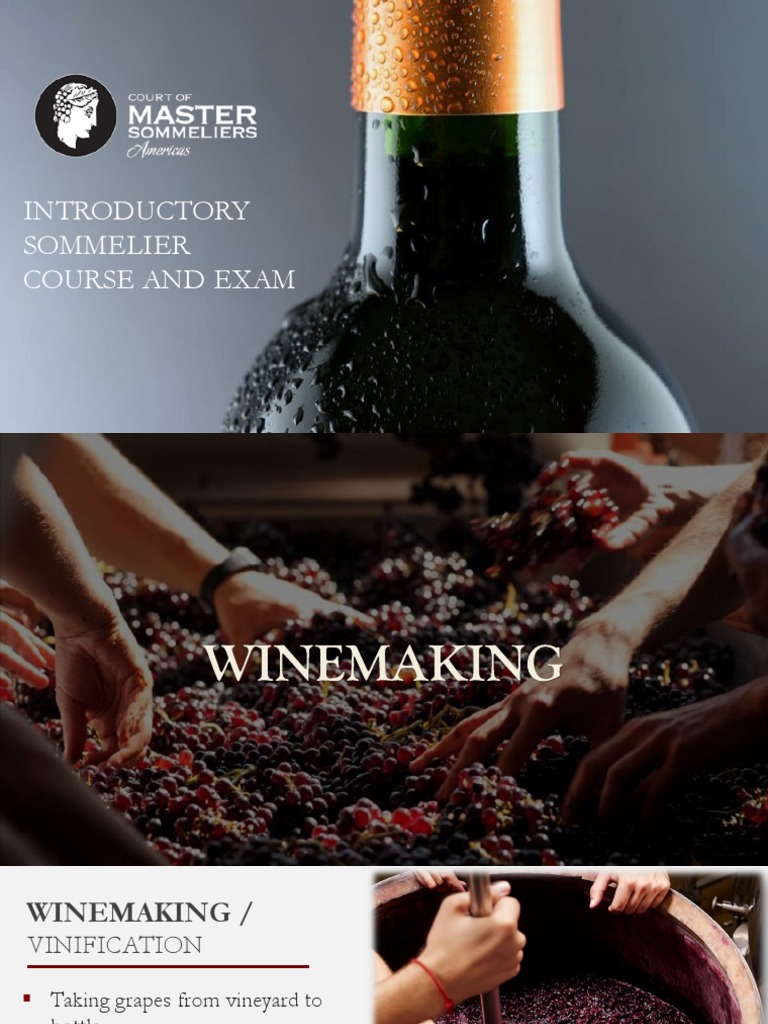 CMS Introduction To Winemaking PDF PDF
