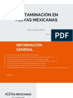 Contaminacion Playas Mexicanas-Etica Ecoteam PDF