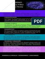 Infografías Trastornos Del Neurodesarrollo TEA Y ADHD PDF