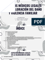 Seminario 1 Violencia Familiar, Amachi Raquel y Rios Jocelyn