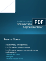 Síndrome Traumático Del SA PDF