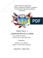 Composicion de La Carne Preguntas PDF