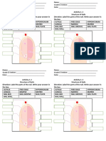 Cosme Activity 2.2 Parts of Nail