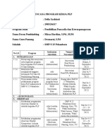 Program Kerja PLP Della Syafniati - 1905156317 - SMP N 25 Pekanbaru