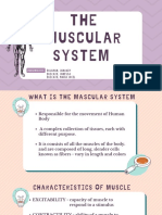 The Muscular System PDF