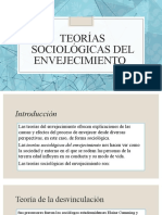 Teorias Sociologicas