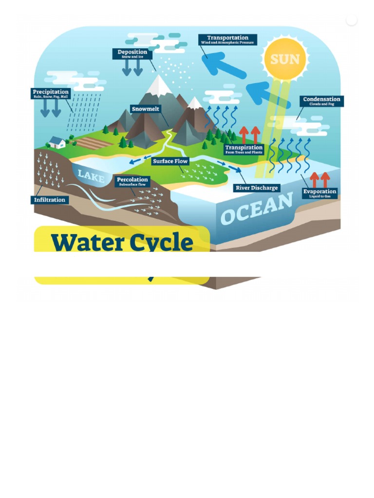 Water Cycle | PDF