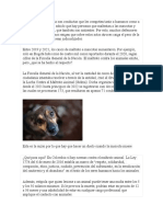 L Maltrato y La Violencia Son Conductas Que Les Competen Tanto A Humanos Como A Animales