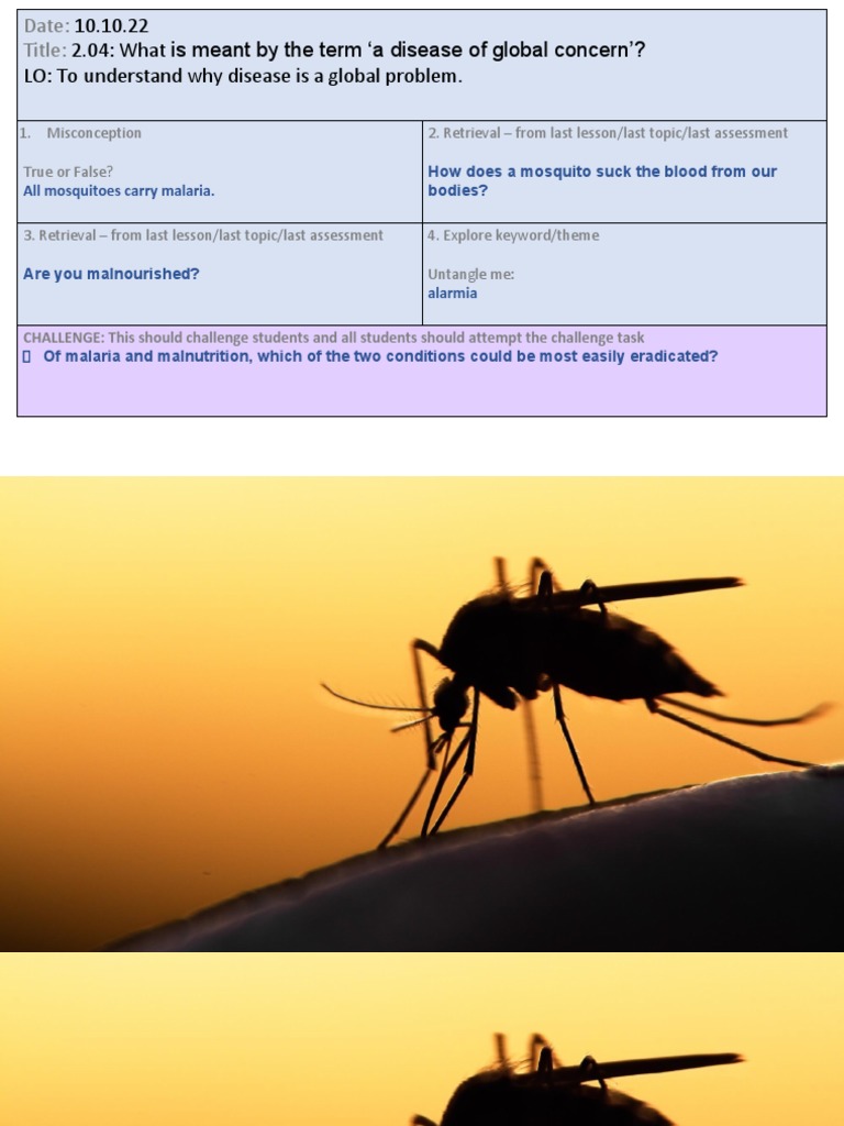 Global Health: Diseases of Concern | PDF