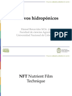NFT PDF