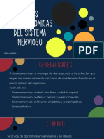 Bases Neuroantomicas Del Sistema Nervioso PDF