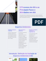 O Processo de AIA e As Principais Fases e Atividades em AIA Na Engenharia Civil
