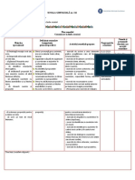 1 Plan Remedial Cls 2 Romana Buuun