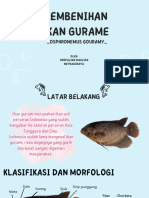 PEMBENIHAN IKAN GURAME