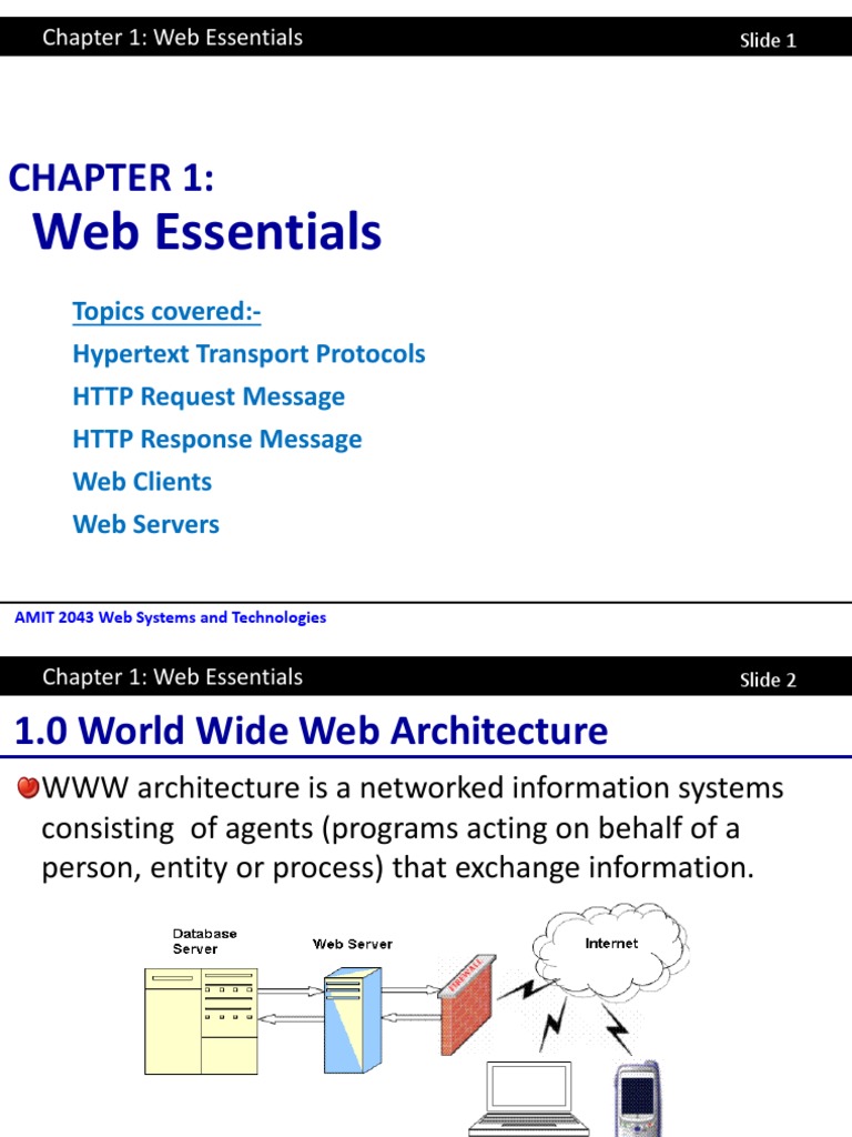 Web Essentials Chapter 1 Overview | PDF