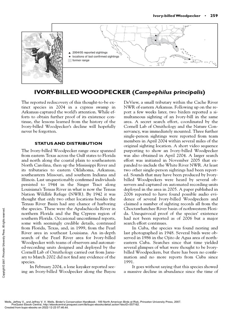 Birder's Conservation Handbook 100 North American - (Ivory-Billed