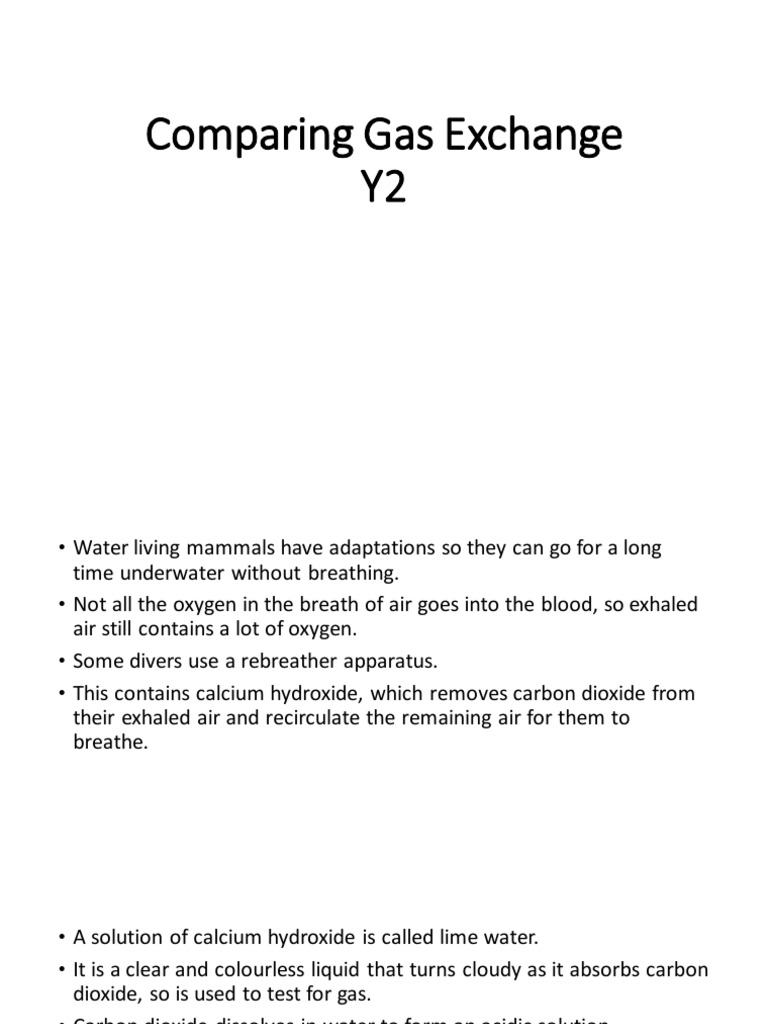 Gas Exchange and Respiration Processes | PDF
