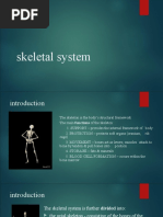 Skeletal System PPT SMDV