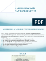 U.d.11. - Fisiopatología Genital y Reproductiva PDF
