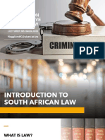 Introduction To Substantive Criminal Law 2022