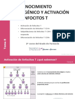 Tema 8 - Activación Linf T I RESUMEN DIAPO 20 y 22 PDF